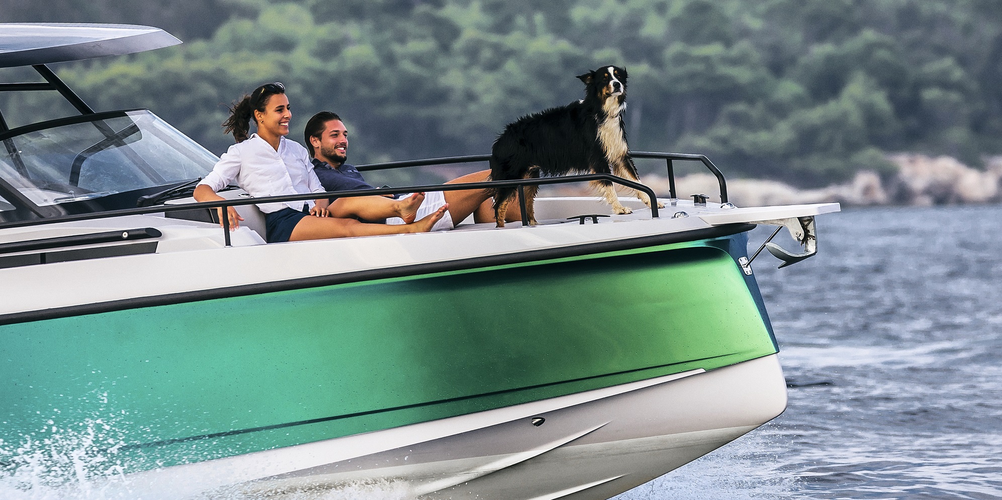 Sailing with Pets 101: The Dos and Don'ts On Board
